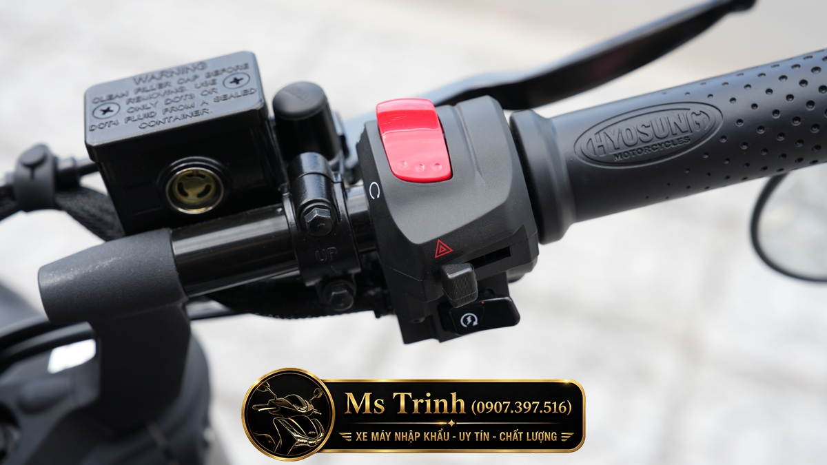 Hyosung GV350X - Cruiser 350cc Phong Cách Mỹ, Đậm Chất Cơ Bắp giá 135 triệu