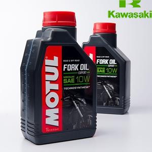 FORK EXPERT MED 10W,1.0L