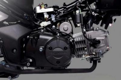 Honda Dash 125 2026 - Xe Số Thể Thao Nhập Khẩu chính ngạch Malaysia Giá Tốt