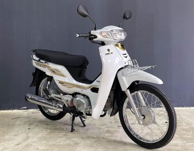 Honda Dream Thailand: Bức Tranh Ẩn Dụ Về Hành Trình Chinh Phục