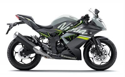 Kawaski Ninja 250SL ABS 2023 Nhập Khẩu Chính Hãng
