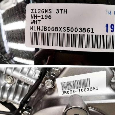 Monkey 125 2025 Chrome Legacy Bản Kỷ Niệm Giới Hạn Toàn Cầu