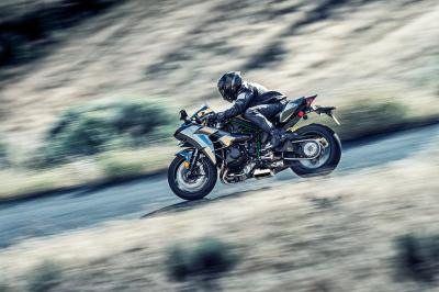 NINJA H2 CARBON