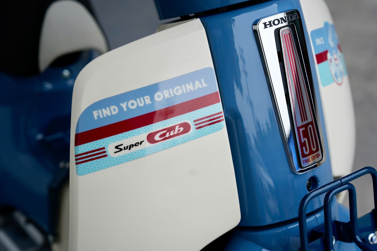 thu hút và đặc biệt hơn