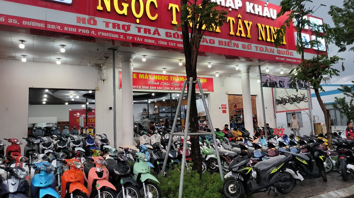 ngọc tram Tay ninh